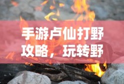 九阴真经，提升实力的秘诀