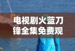 电视剧火蓝刀锋全集免费观看