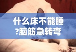 什么床不能睡?脑筋急转弯