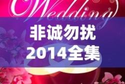 非诚勿扰2014全集完整版免费观看