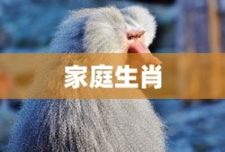 暖暖免费全集