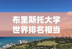 布里斯托大学世界排名相当于国内
