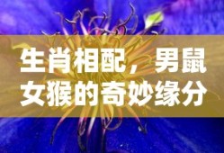 真三国无双手机版下载官方网