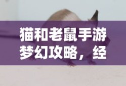 gta血战唐人街安卓下载
