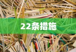 22条措施
