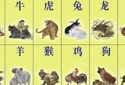 粤语屋tvb港剧网免费观看