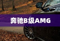 fgo第六章有多少节