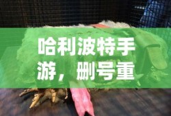 无尽神谕手游，探索未知的冒险之旅