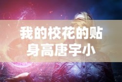我的校花的贴身高唐宇小说