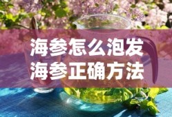 海参怎么泡发海参正确方法