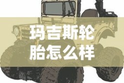 玛吉斯轮胎怎么样质量好不好