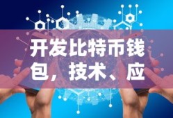 开发比特币钱包，技术、应用与未来展望