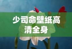 少司命壁纸高清全身