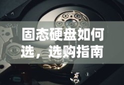 梦幻手游月宫武器选择宝典