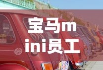 宝马mini员工价