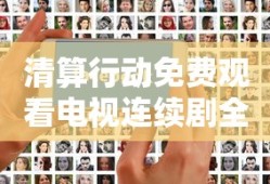 清算行动免费观看电视连续剧全集