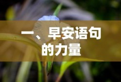 早安语句的力量