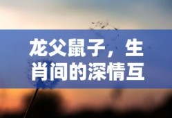 假面骑士Buffa经典语录深度解析