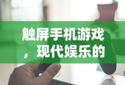 现代娱乐的代表，触屏手机游戏