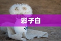 彩子白