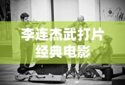 李连杰武打片经典电影