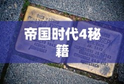 帝国时代4秘籍