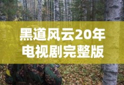 黑道风云20年电视剧完整版
