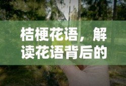 怪兽暴打凹凸曼初代