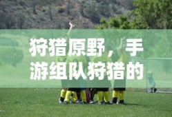 狩猎原野，手游组队狩猎的乐趣与无限可能性