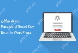 修复 WordPress 中密码重置密钥错误的方法