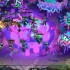 云顶之弈PBE美测服S14赛季上线！