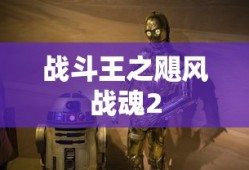 战斗王之飓风战魂2