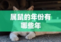 属鼠的年份有哪些年