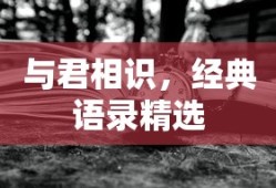 与君相识，经典语录精选