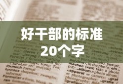 好干部的标准20个字