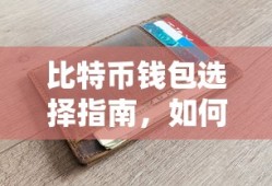 比特币钱包选择指南，如何找到最适合您的钱包？