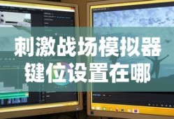 刺激战场模拟器键位设置在哪