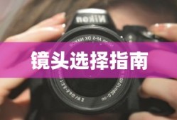 食之契约食灵大全