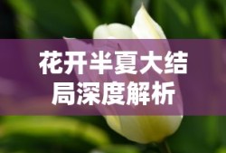 风神h30怎么样省油吗