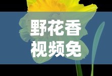 野花香视频免费观看高清在线下载
