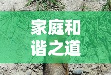 亲爱的老师6免费观看全集电视剧
