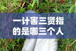 一计害三贤指的是哪三个人