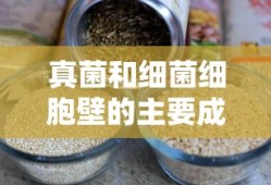 如月琴恩预输入次元斩全技巧教学