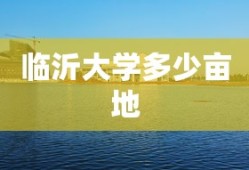 临沂大学多少亩地