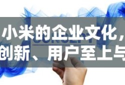 小米的企业文化，创新、用户至上与持续发展的核心价值理念
