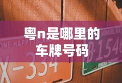 粤n是哪里的车牌号码