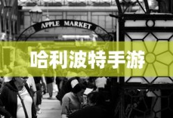 狼人卡牌熊的规则