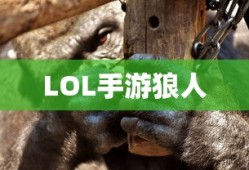 侍魂胧月传说手游