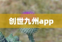 创世九州app