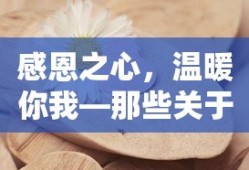 感恩之心，温暖你我，感恩小故事集锦